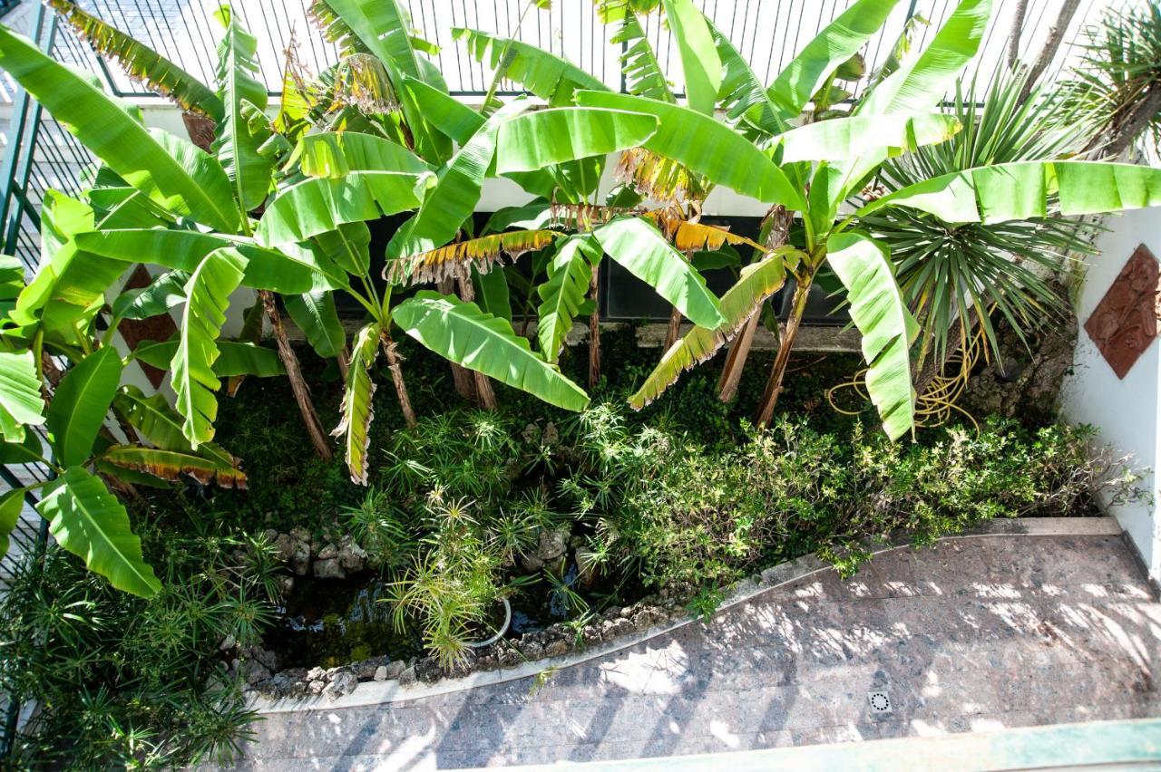 Hotel Garden 3*